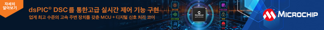 마이크로칩 6월