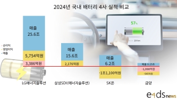 배터리 빅3 캐즘 돌파구 3色...금양, 3년 적자에 벼랑끝 위기